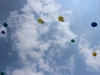 10295970_10204203868799647_2267836233024568457_o
