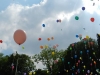 10354135_10152452917592235_6946186333110687566_n