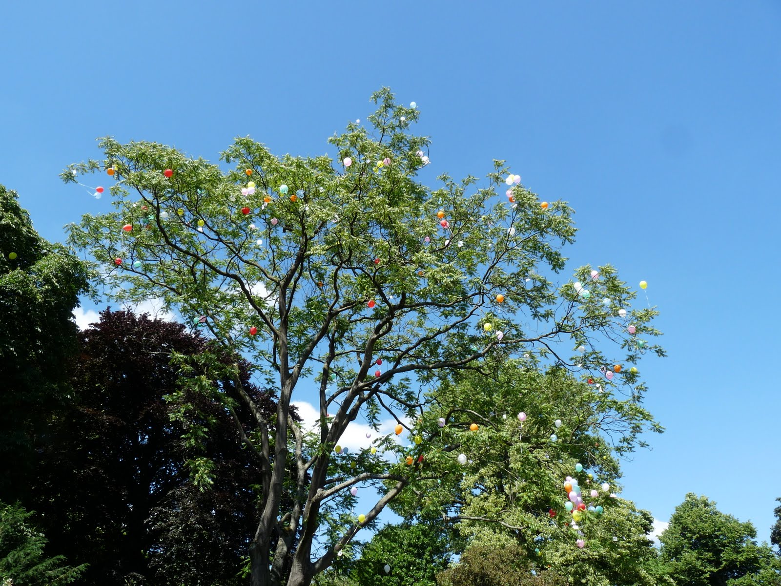 P1090333