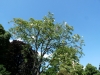 P1090333