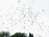 IMG_1 (159) (1024x683)