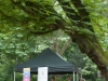 IMG_1 (51) (683x1024)