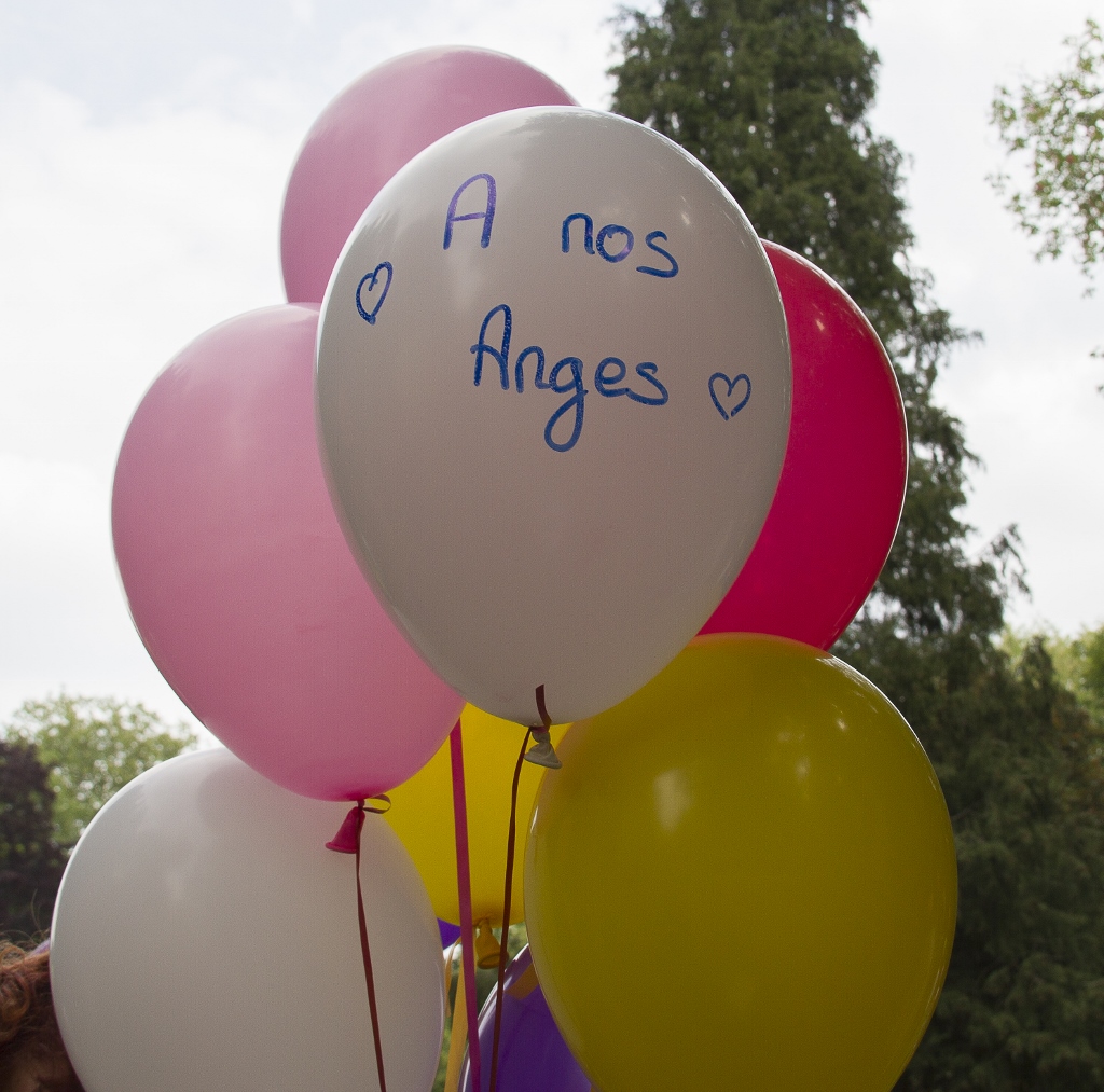 IMG_3074-1024x1013