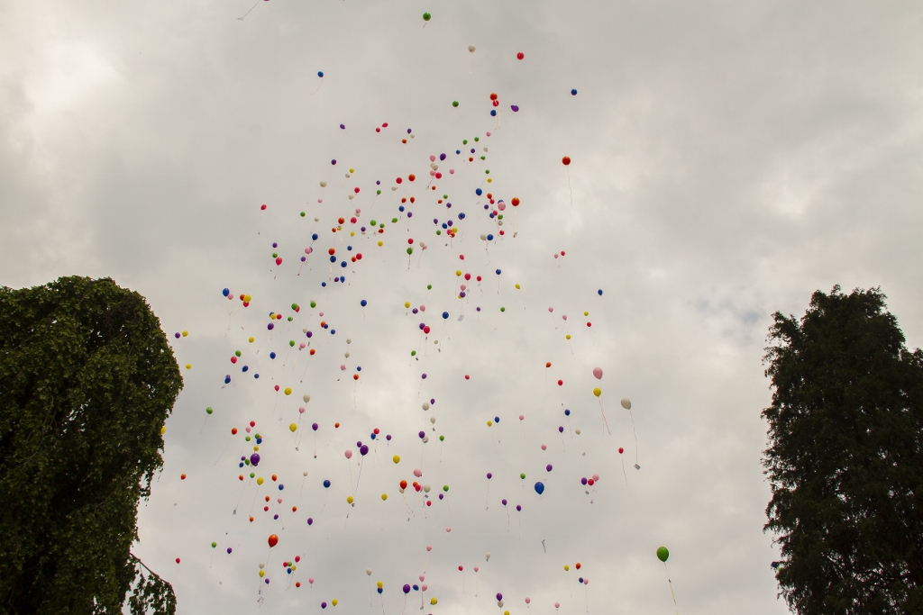 IMG_3118-1024x683
